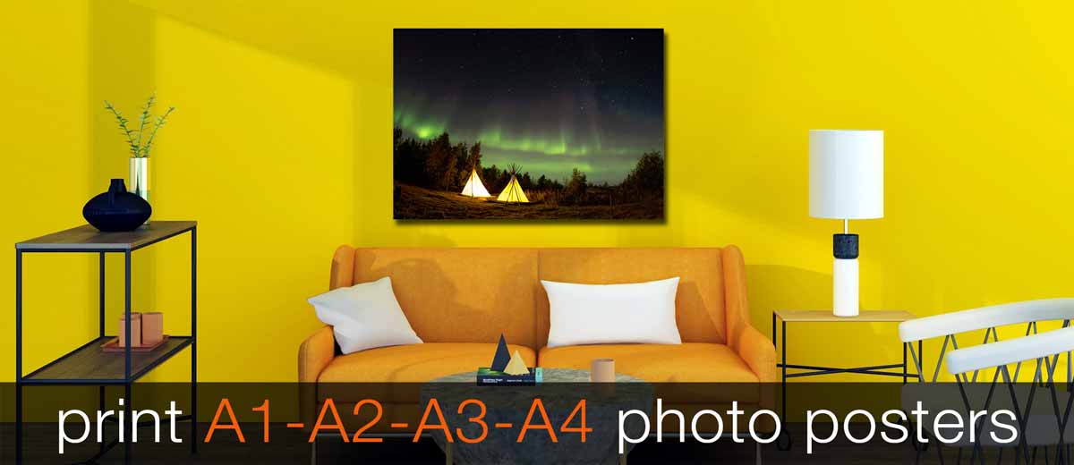 Sunflower photo printed as an A-size poster