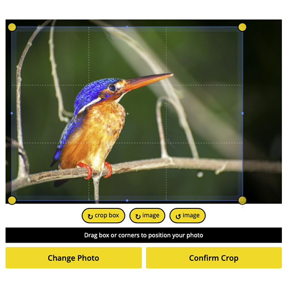 Screenshot of the editing window