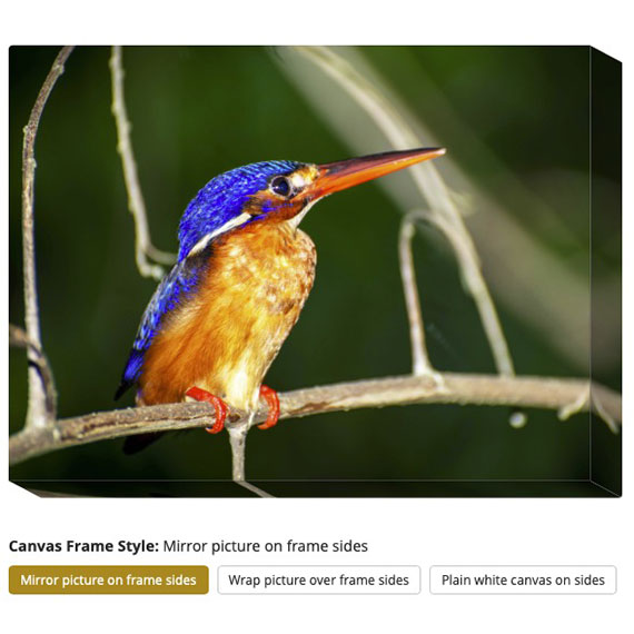 Screenshot of a preview showing 'Mirror picture on frame sides'