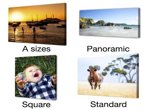 Screenshot of canvas shape options