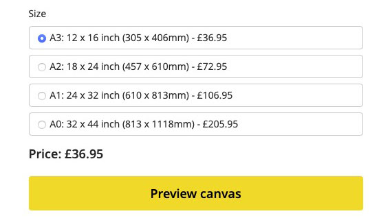 Screenshot of canvas size choices