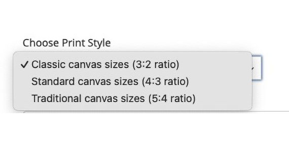 Screenshot of canvas style (ratio) options