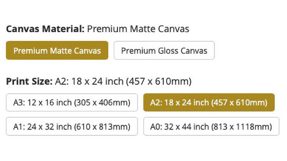 Screenshot showing canvas type choices