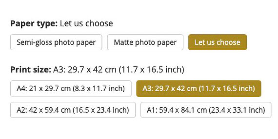 Screenshot showing selections for paper