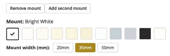 Screenshot of mount choices