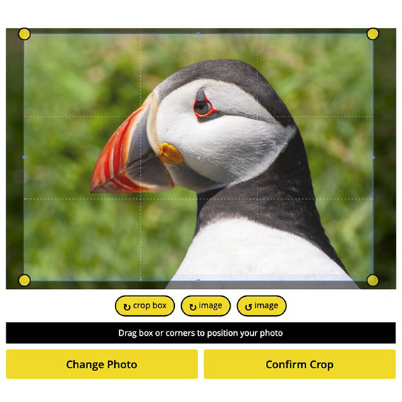 Screenshot showing the edit button appearing